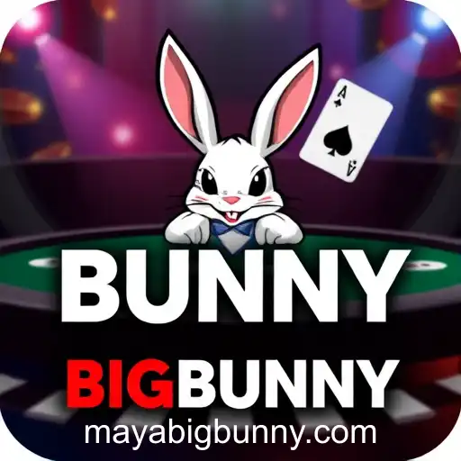 Virtual Casinos Thrive Amidst Digital Boom